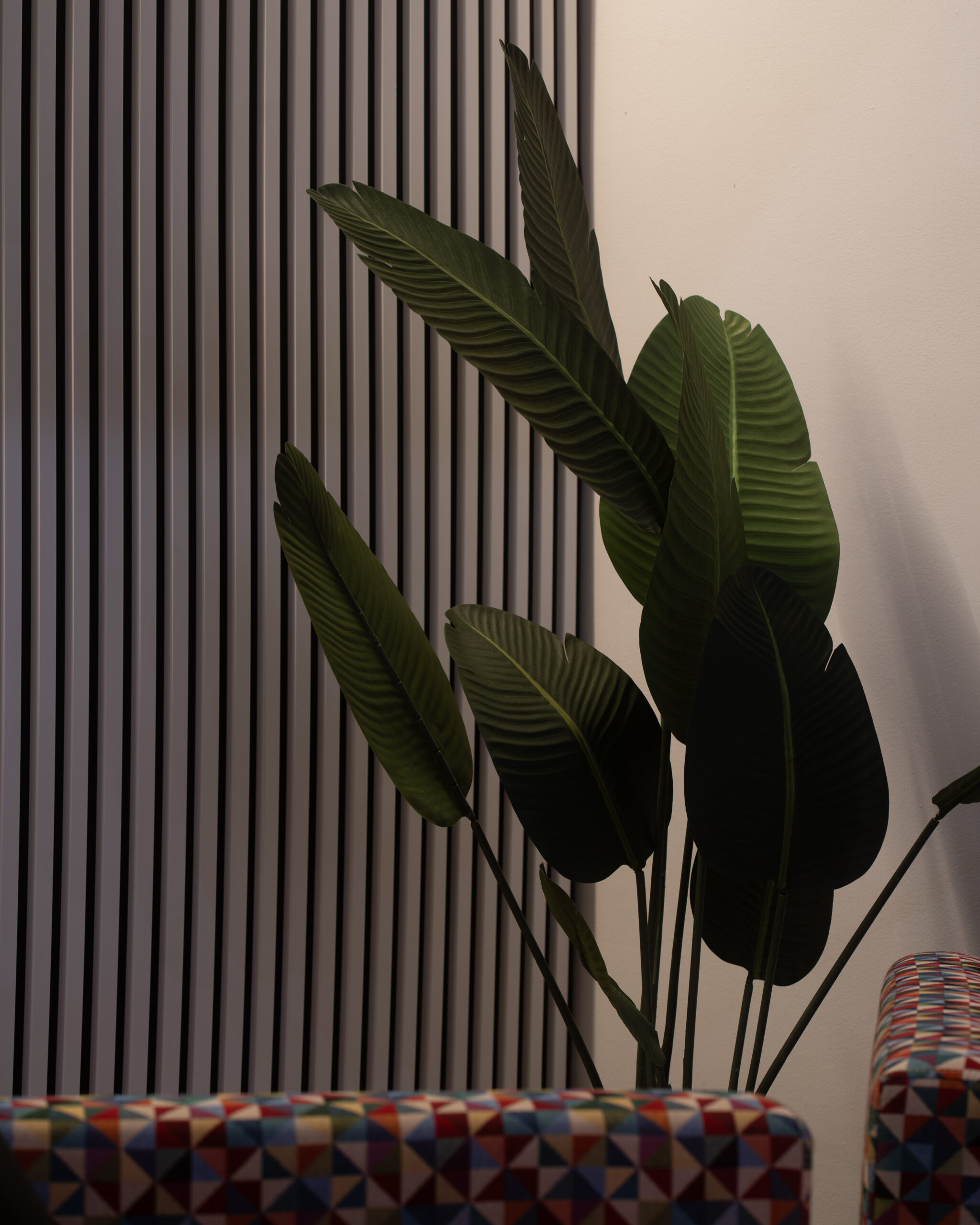 Studio21 01775 1 Scaled